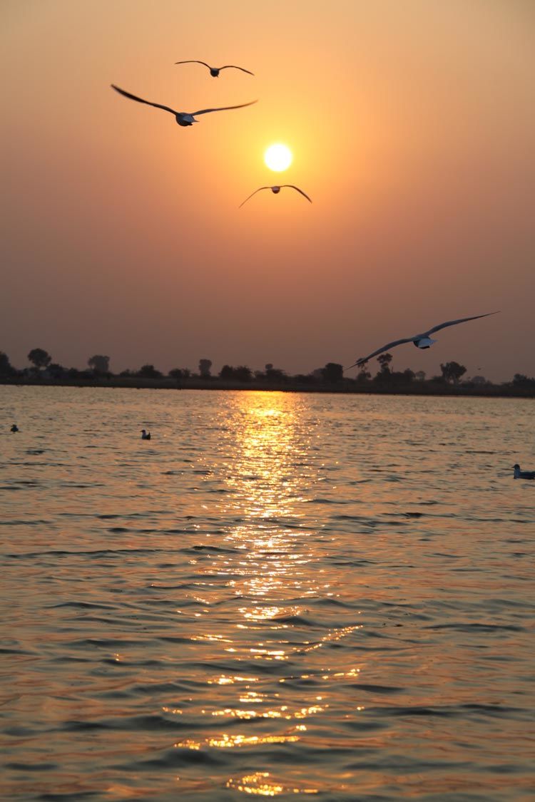 Photo of Top places to visit in Gujarat Part 1 by Umang Dave