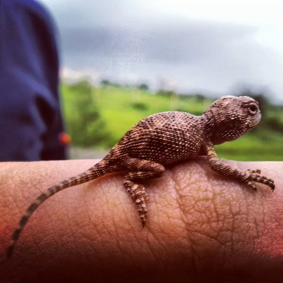 Photo of Bhadar Dam, Rajkot, Gujarat, India by Umang Dave (IG: @umangxdave)