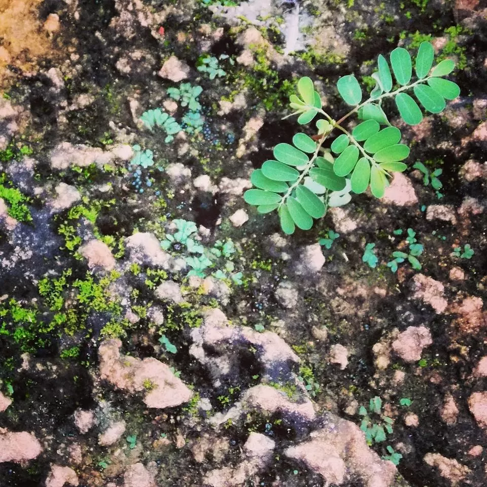 Photo of Khambhalida Buddhist Caves, Rajkot, Gujarat, India by Umang Dave (IG: @umangxdave)