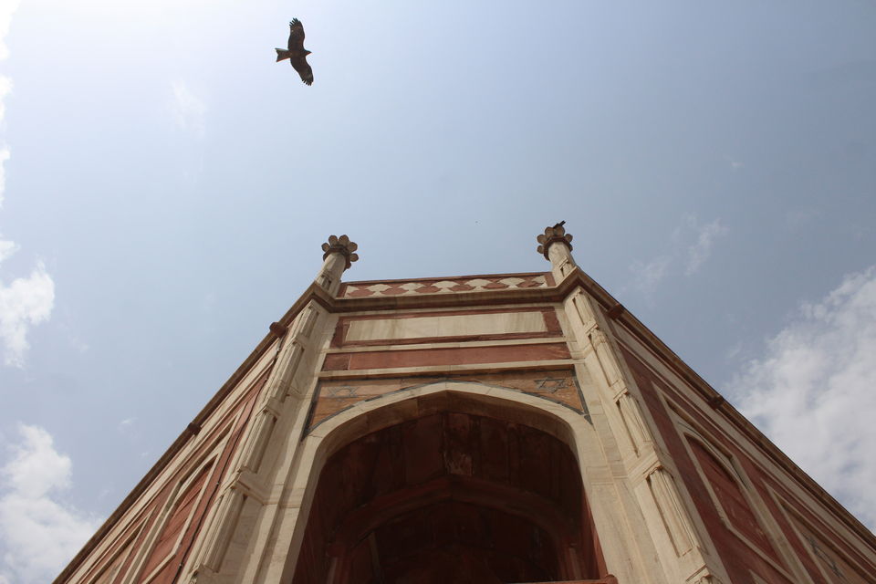 Photo of Humayun's Tomb, Nizamuddin, Nizamuddin West, New Delhi, Delhi, India by Umang Dave