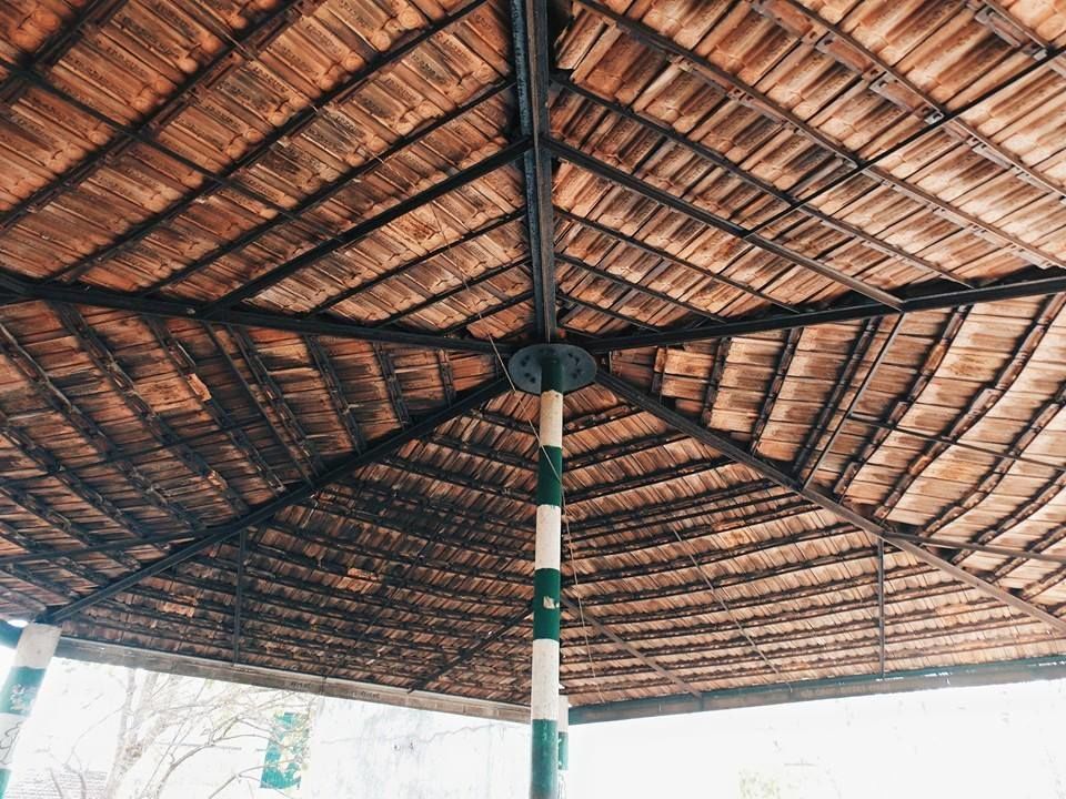 Photo of Unexplored Rural Destinations of Gujarat : Kevdi Village, Chotta Udaipur by Umang Dave