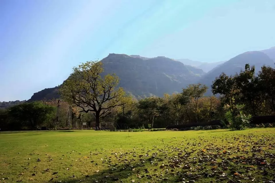 Photo of Zarwani Eco Campsite, Thavadia, Gujarat, India by Umang Dave (IG: @umangxdave)