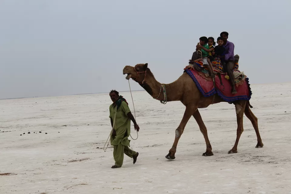 Photo of White Desert/Rann Of Kachchh, Kutch, Gujarat, India by Umang Dave (IG: @umangxdave)