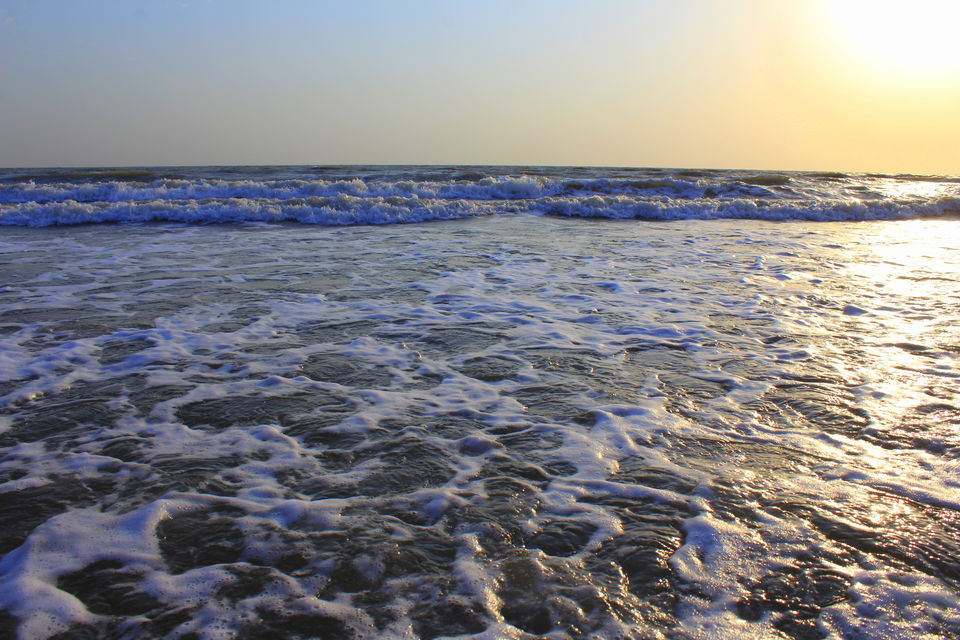 Photo of Photoblog: 10 Pictures to inspire you to visit Mandavi Beach, Kutch, Gujarat by Umang Dave