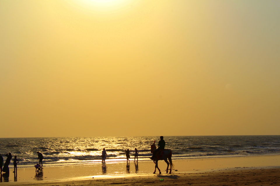 Photo of Photoblog: 10 Pictures to inspire you to visit Mandavi Beach, Kutch, Gujarat by Umang Dave