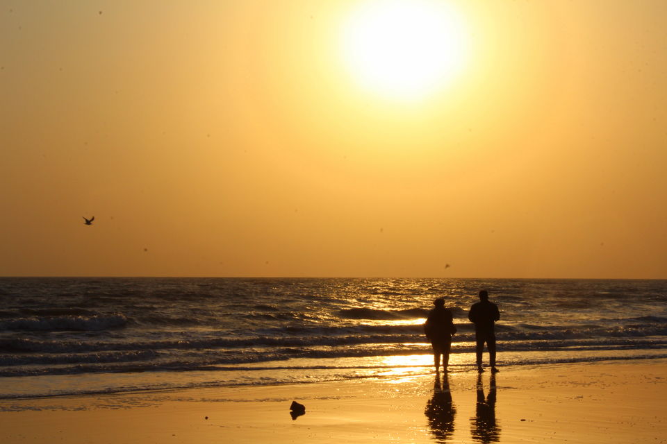 Photo of Photoblog: 10 Pictures to inspire you to visit Mandavi Beach, Kutch, Gujarat by Umang Dave