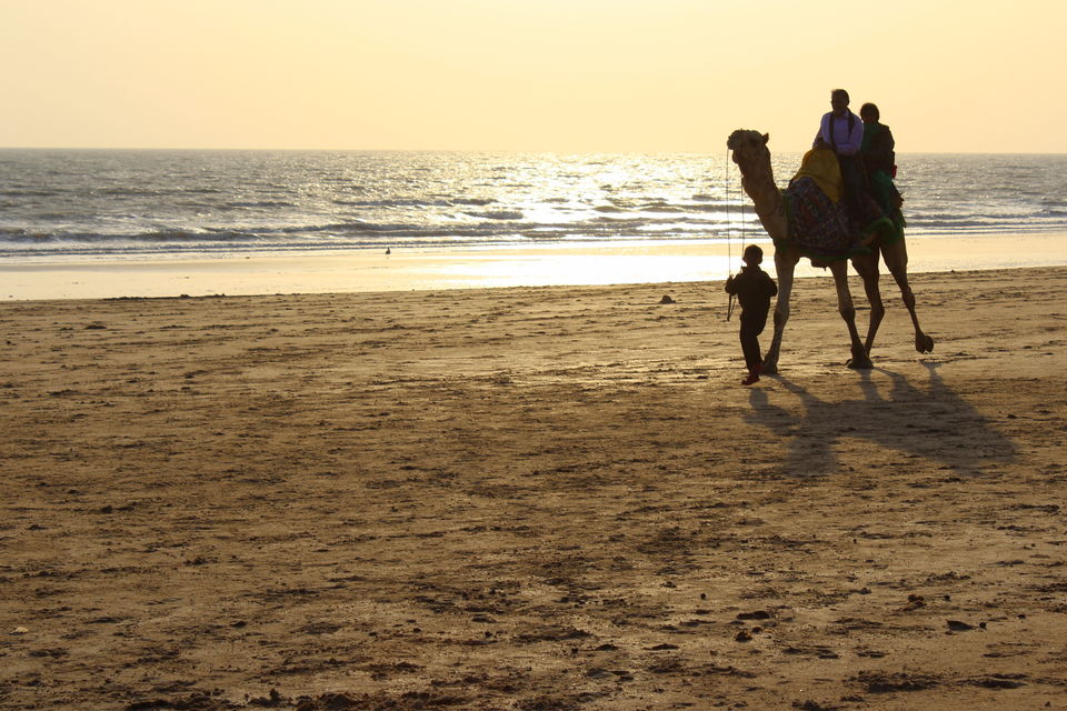 Photo of Photoblog: 10 Pictures to inspire you to visit Mandavi Beach, Kutch, Gujarat by Umang Dave