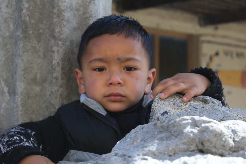 Photo of Bahang, Himachal Pradesh, India by Umang Dave