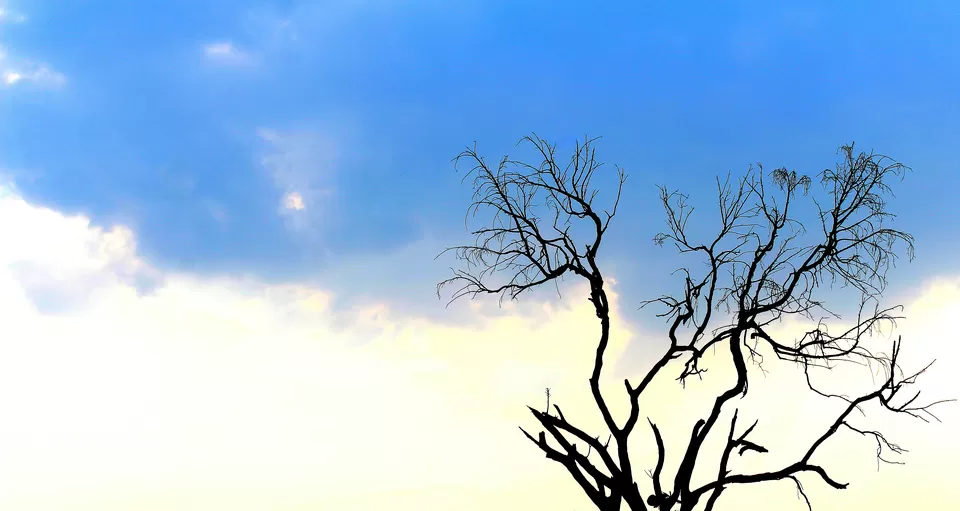 Photo of Sanchi, Madhya Pradesh, India by Umang Dave (IG: @umangxdave)