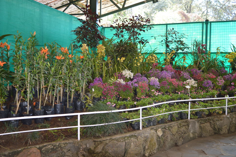 Photo of Gangtok, Sikkim, India by Amit Kumar