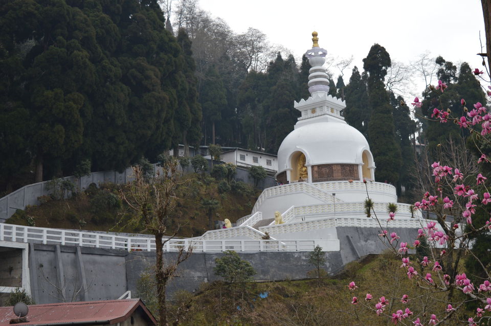 Photo of Sikkim - The Land of Mystique and Darjeeling- The Queen of hills #GoLocal by Amit Kumar