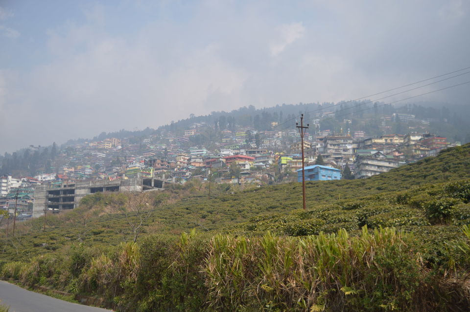 Photo of Sikkim - The Land of Mystique and Darjeeling- The Queen of hills #GoLocal by Amit Kumar
