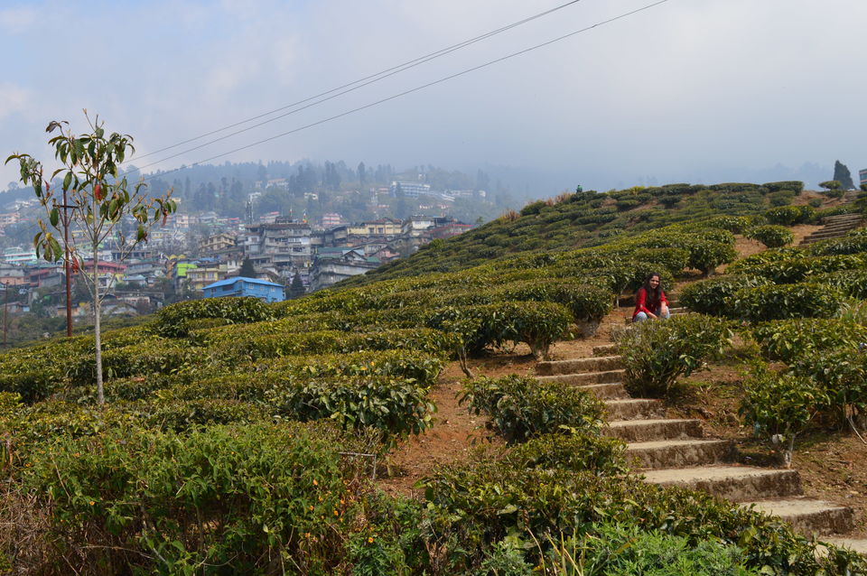 Photo of Sikkim - The Land of Mystique and Darjeeling- The Queen of hills #GoLocal by Amit Kumar