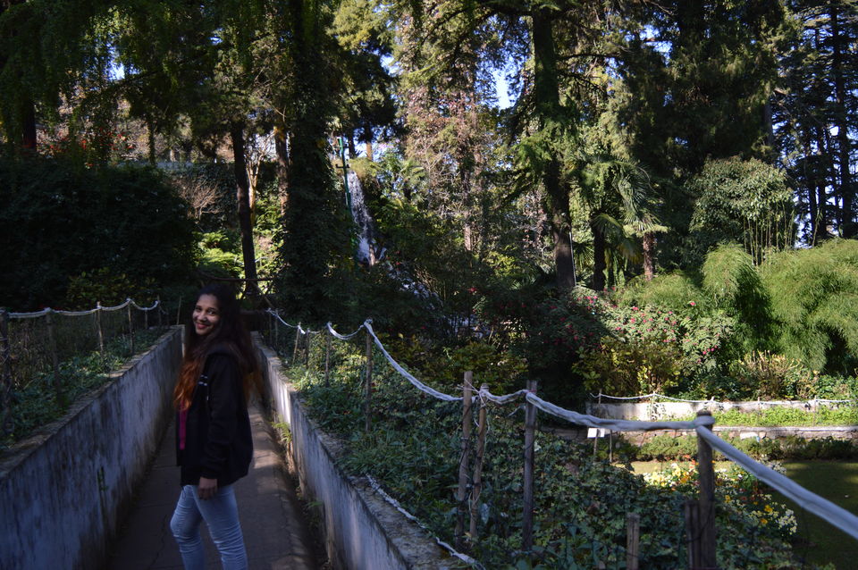 Photo of Company Garden, bazar Road, Landour, Mussoorie, Uttarakhand, India by Amit Kumar