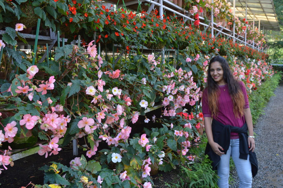 Photo of Company Garden, bazar Road, Landour, Mussoorie, Uttarakhand, India by Amit Kumar