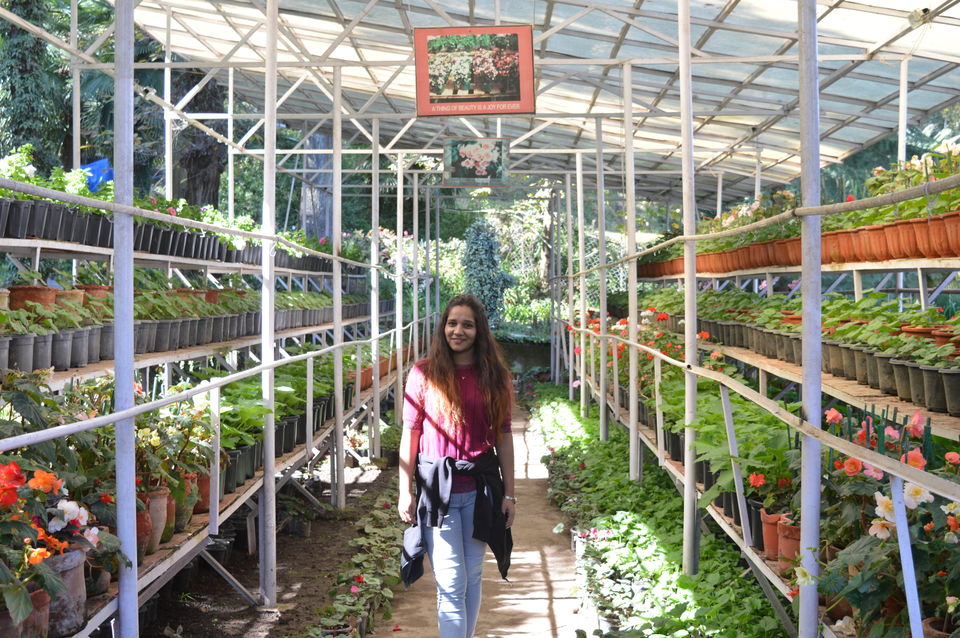 Photo of Company Garden, bazar Road, Landour, Mussoorie, Uttarakhand, India by Amit Kumar