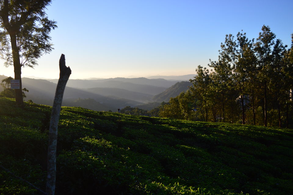 Photo of Top Station Munnar, Chittavurai Junction to Top Station Road, Top Station, Tamil Nadu, India by Amit Kumar