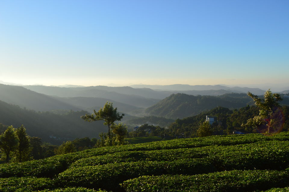 Photo of Top Station Munnar, Chittavurai Junction to Top Station Road, Top Station, Tamil Nadu, India by Amit Kumar