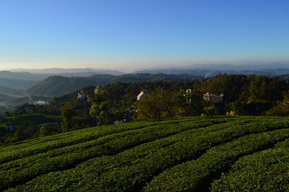 Photo of Top Station Munnar, Chittavurai Junction to Top Station Road, Top Station, Tamil Nadu, India by Amit Kumar