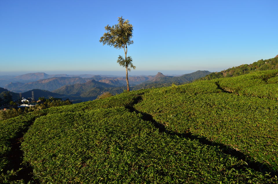 Photo of Top Station Munnar, Chittavurai Junction to Top Station Road, Top Station, Tamil Nadu, India by Amit Kumar