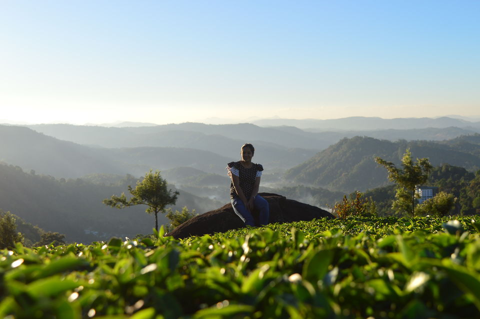 Photo of Top Station Munnar, Chittavurai Junction to Top Station Road, Top Station, Tamil Nadu, India by Amit Kumar