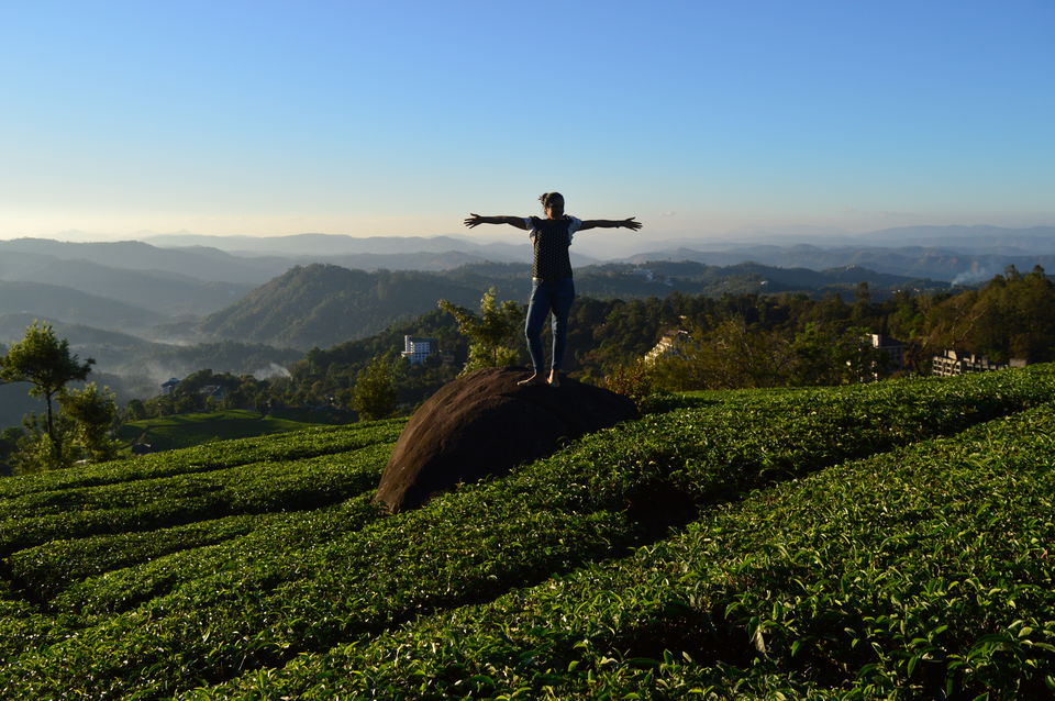 Photo of Top Station Munnar, Chittavurai Junction to Top Station Road, Top Station, Tamil Nadu, India by Amit Kumar