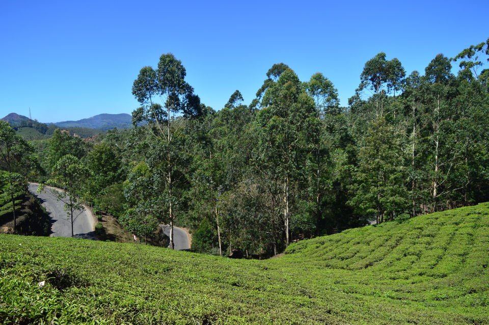Photo of Top Station Munnar, Chittavurai Junction to Top Station Road, Top Station, Tamil Nadu, India by Amit Kumar