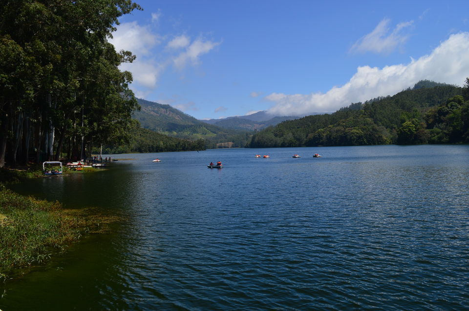 Photo of Top Station Munnar, Chittavurai Junction to Top Station Road, Top Station, Tamil Nadu, India by Amit Kumar