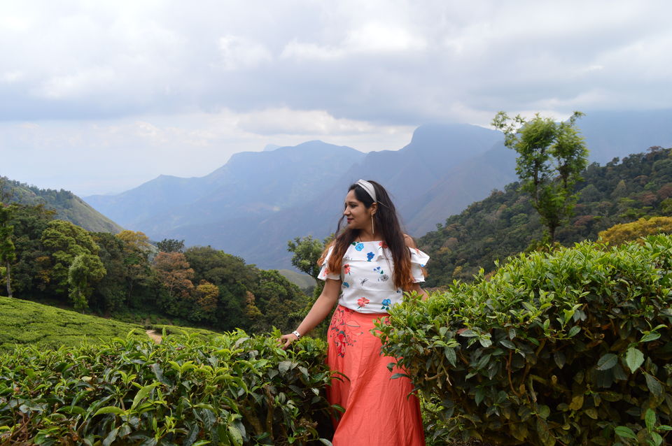 Photo of Top Station Munnar, Chittavurai Junction to Top Station Road, Top Station, Tamil Nadu, India by Amit Kumar