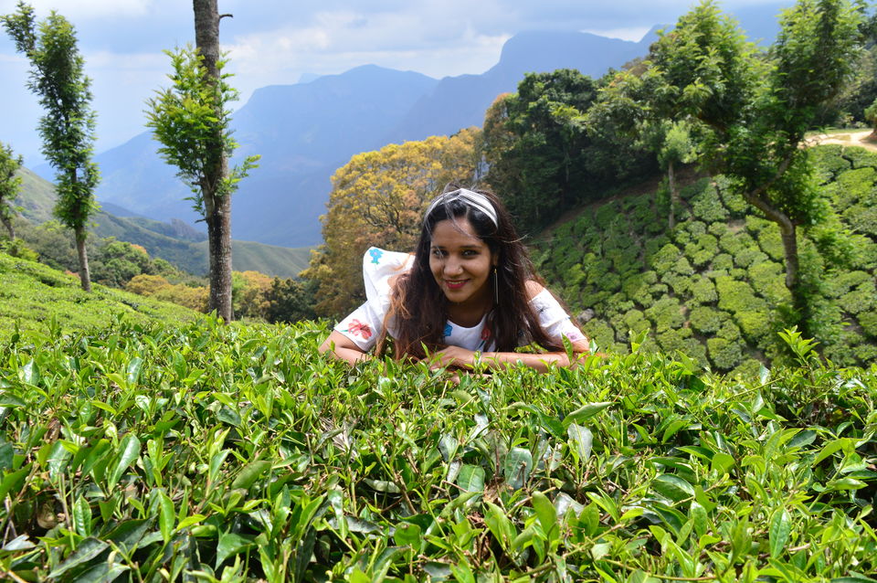 Photo of Top Station Munnar, Chittavurai Junction to Top Station Road, Top Station, Tamil Nadu, India by Amit Kumar