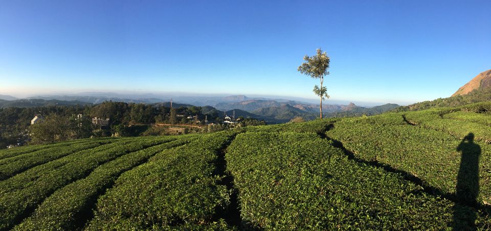 Photo of Top Station Munnar, Chittavurai Junction to Top Station Road, Top Station, Tamil Nadu, India by Amit Kumar