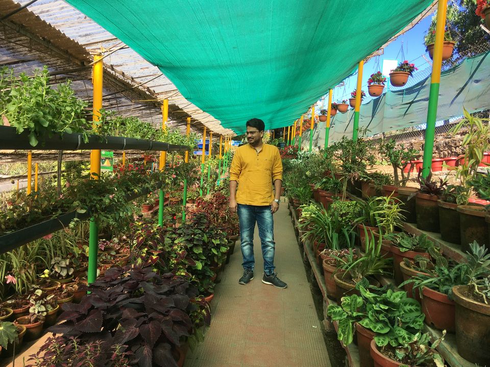 Photo of Top Station Munnar, Chittavurai Junction to Top Station Road, Top Station, Tamil Nadu, India by Amit Kumar