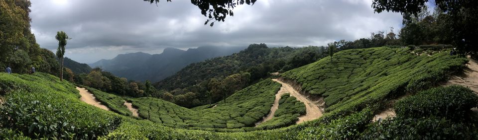Photo of Top Station Munnar, Chittavurai Junction to Top Station Road, Top Station, Tamil Nadu, India by Amit Kumar