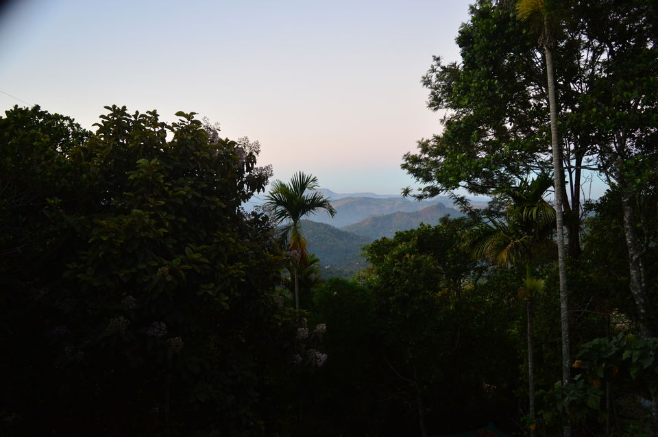 Photo of TEA&SKY MUNNAR, Tea Nagar Road, Chithirapuram, Kerala, India by Amit Kumar