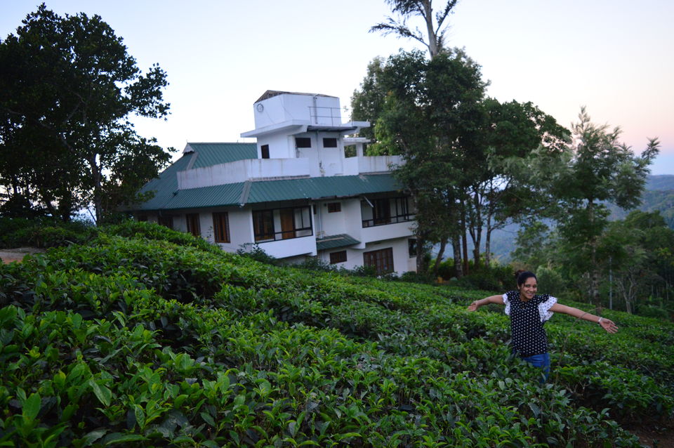 Photo of TEA&SKY MUNNAR, Tea Nagar Road, Chithirapuram, Kerala, India by Amit Kumar