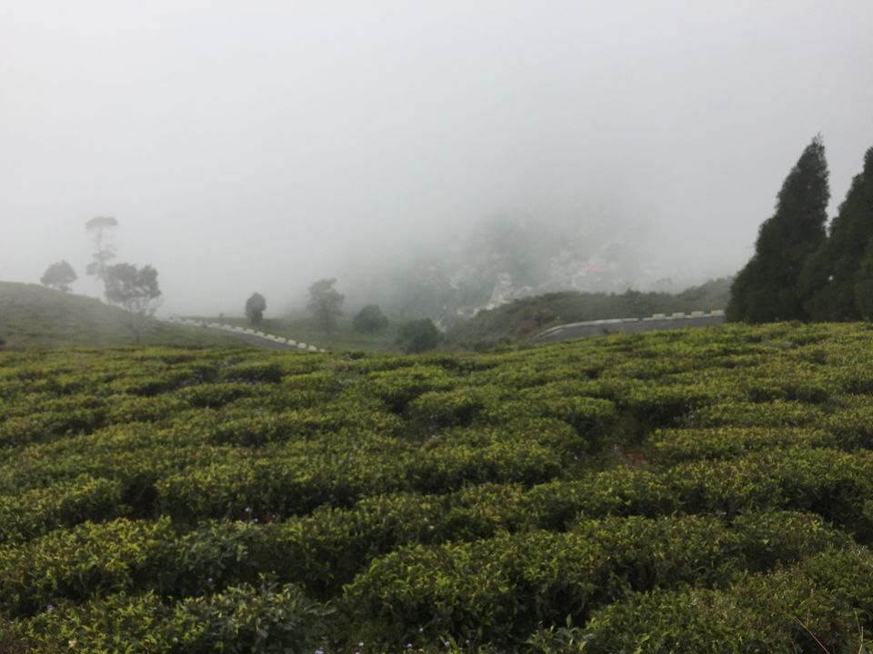 Photo of Kurseong - The Haunted School Town 2/24 by Amit Kumar