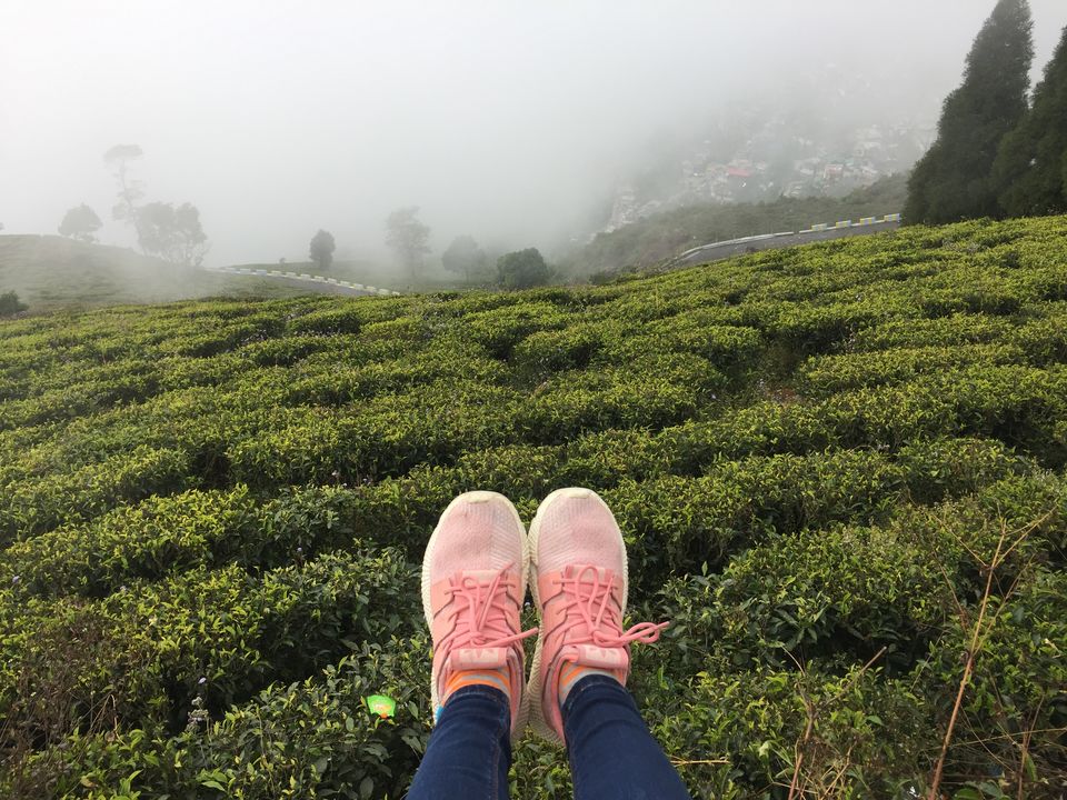 Photo of Kurseong - The Haunted School Town 3/24 by Amit Kumar