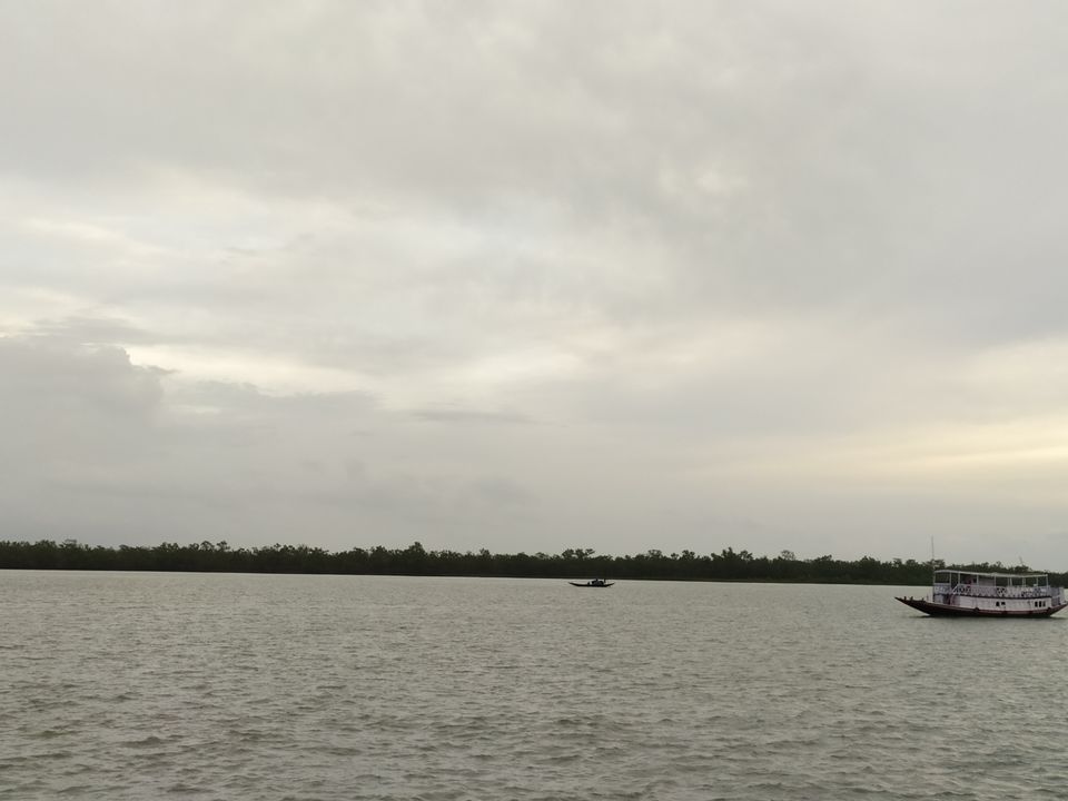 Photo of Sajnekhali Tiger Reserve, West Bengal, India by the_erratic