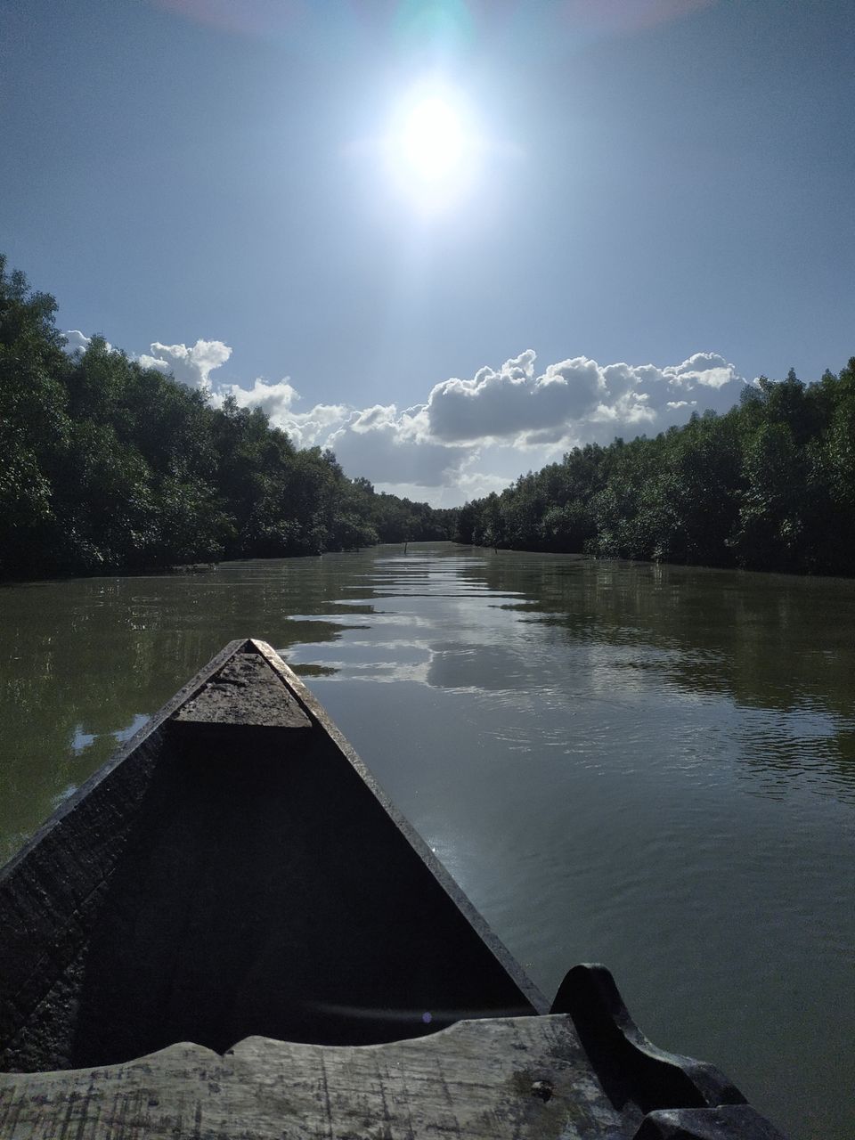 Photo of Sundarbans, West Bengal, India by the_erratic