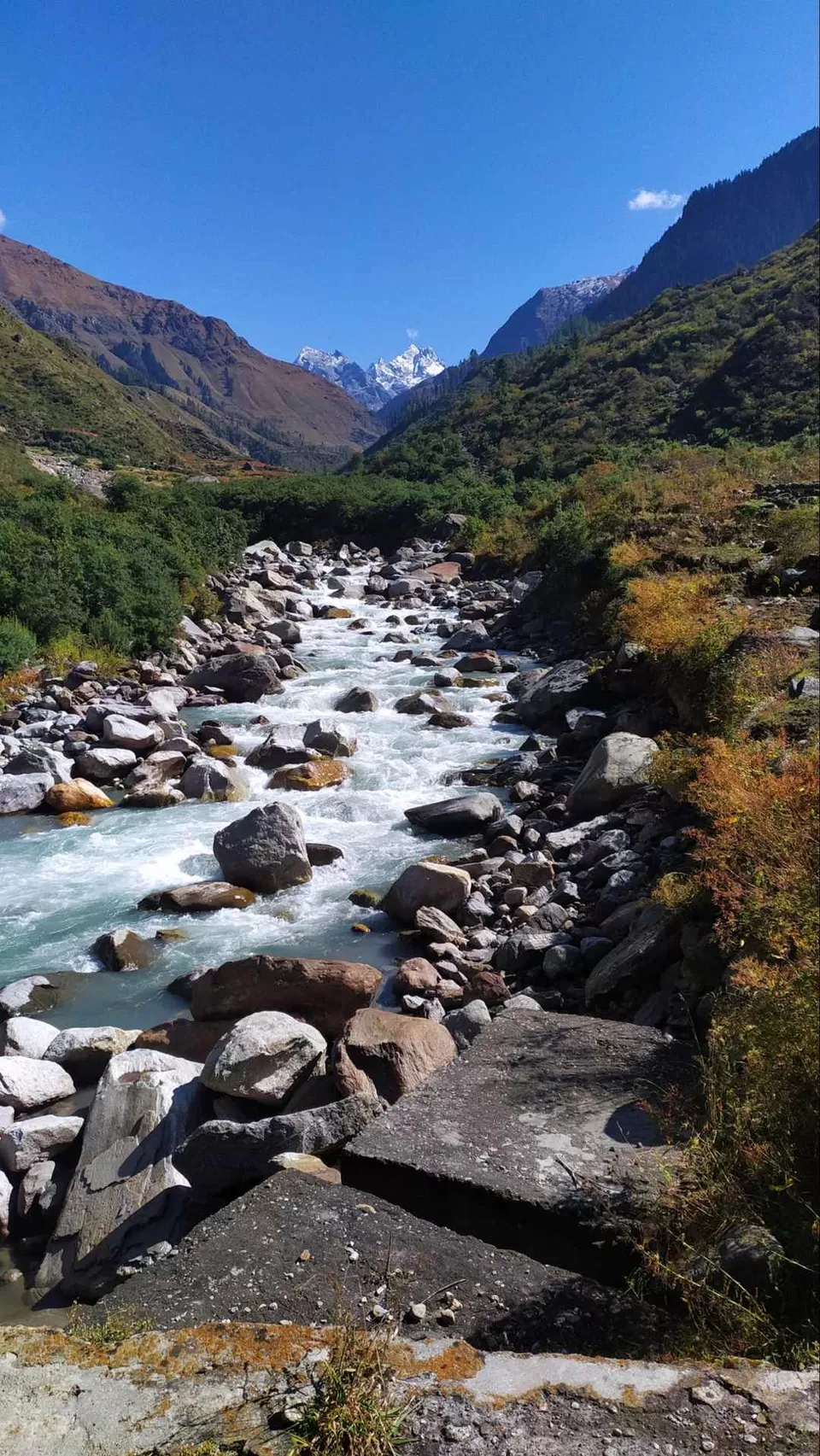 Photo of Seema, Uttarakhand, India by the_erratic