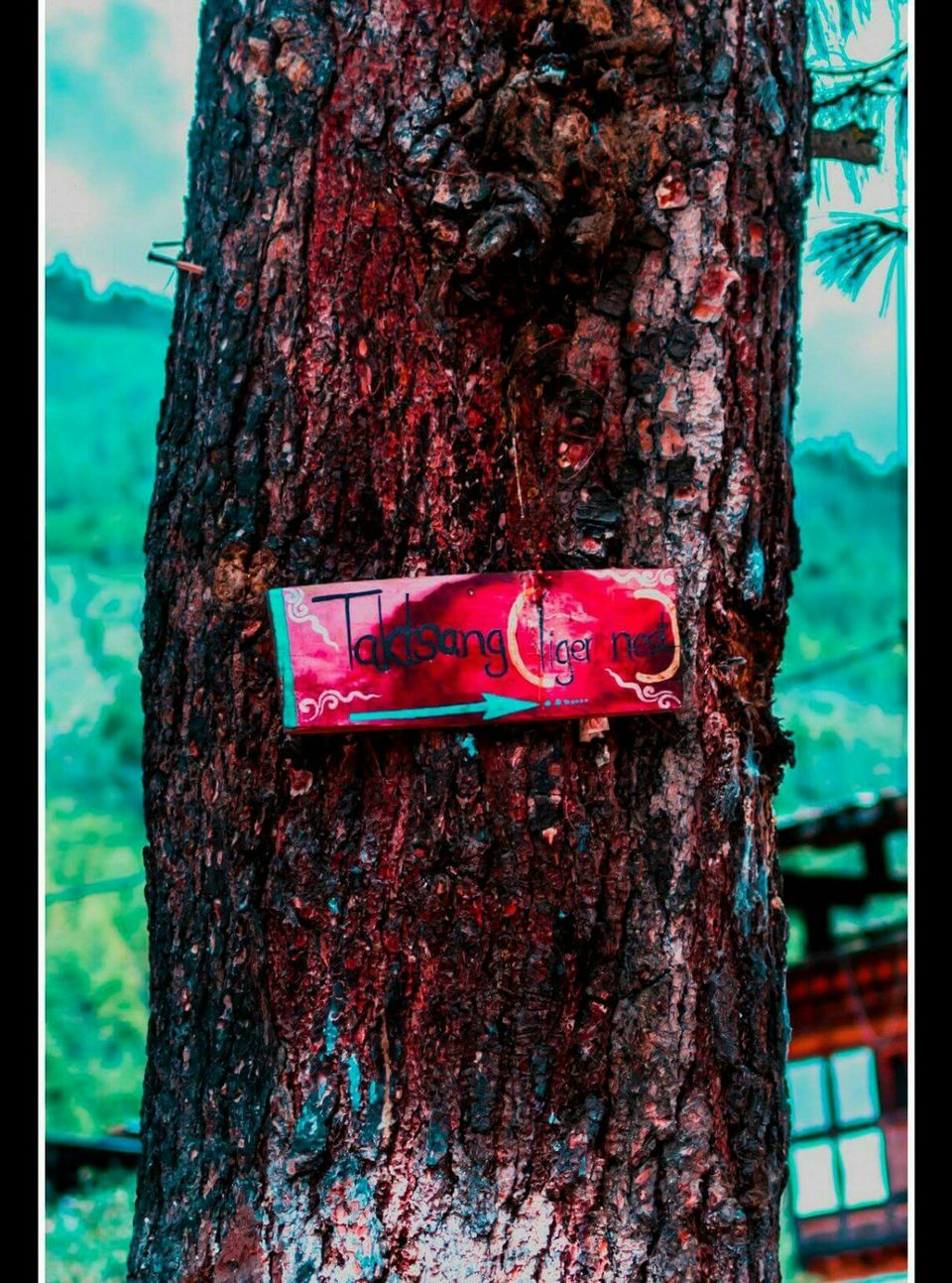 Photo of Bhutan Diary by Pranjal Nath
