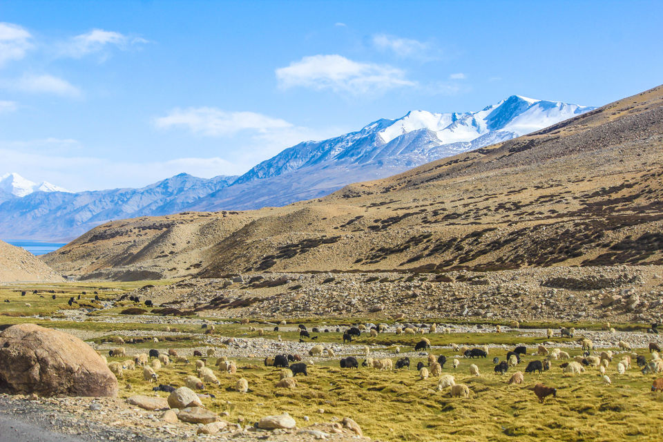 Photo of Tso Moriri by Jil