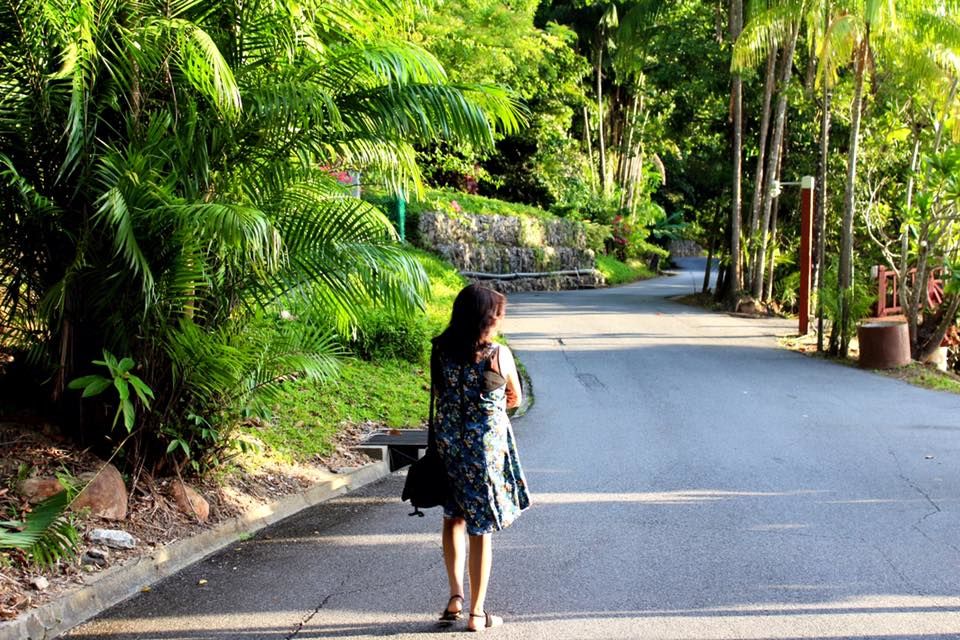 Photo of Langkawi Island, Kedah, Malaysia by Jil