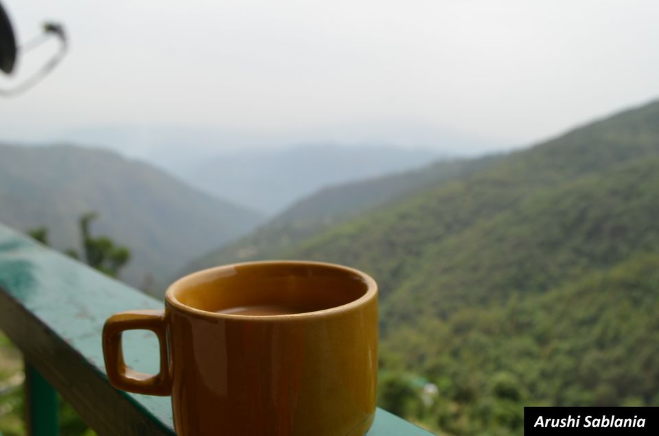 Photo of My First solo trip: Chail- A place for Inspiration and Introspection 1/1 by Arushi Sablania