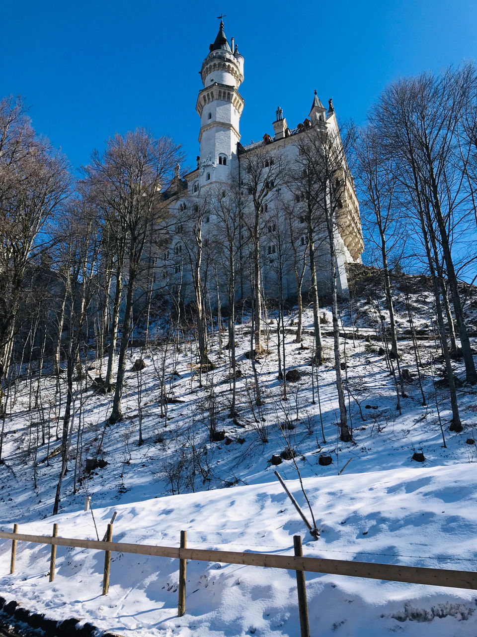 Photo of Living a dream on the lap of Bavarian alps, Germany by Shruti saha