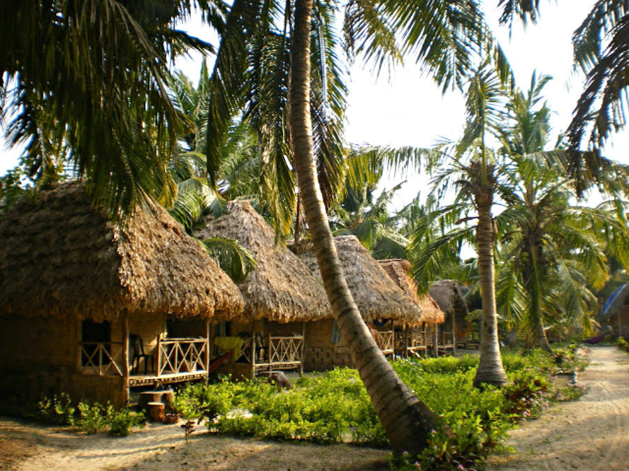 Photo of Havelock Island, South Andaman, Andaman and Nicobar Islands, India by Yara Coelho