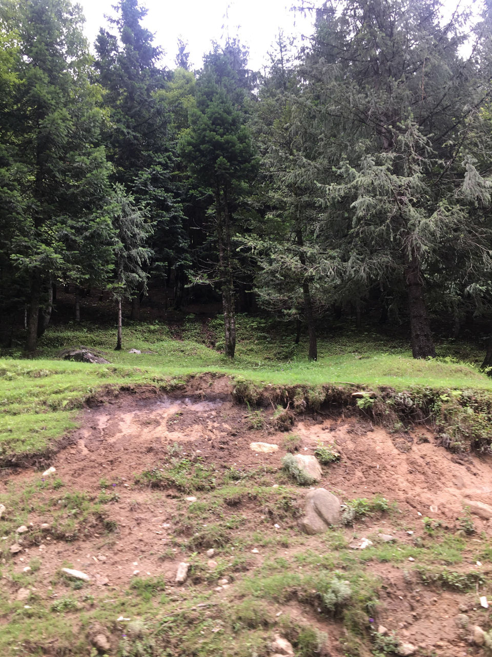 Photo of Himachal Pradesh by Avantika Kashyap