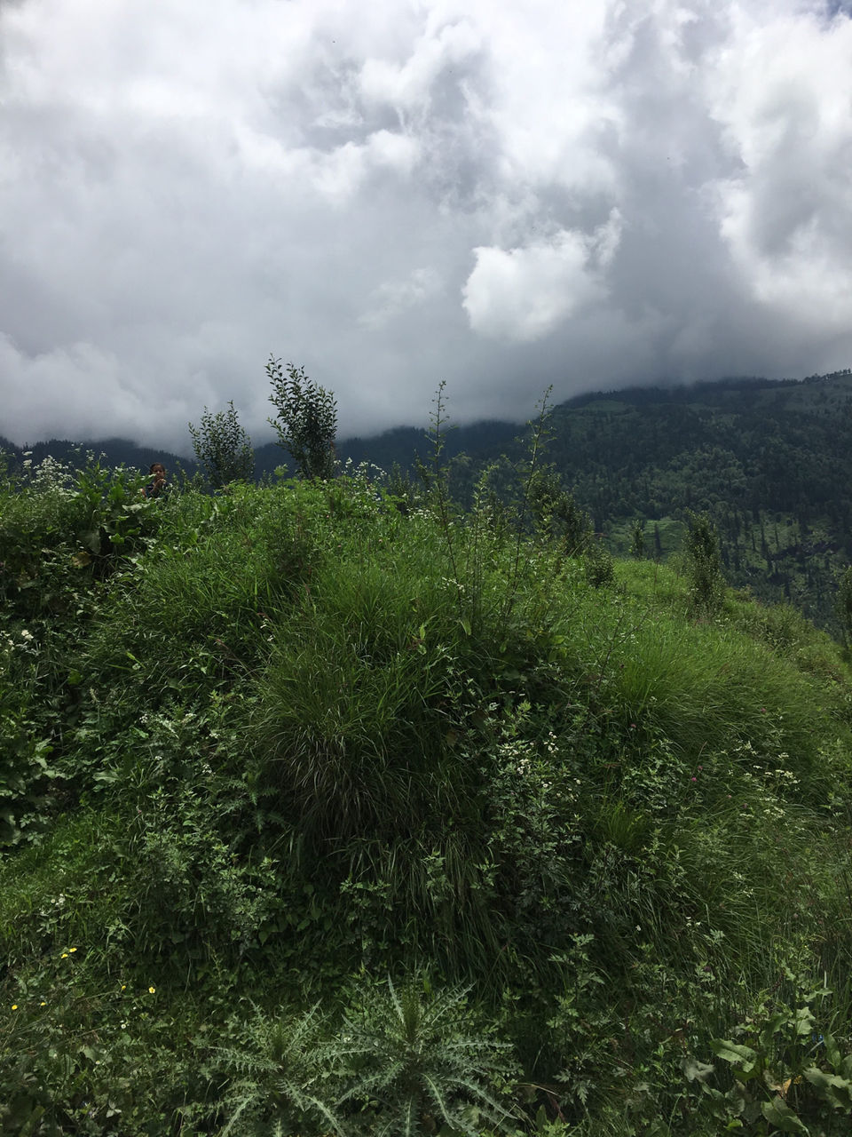 Photo of Himachal Pradesh by Avantika Kashyap