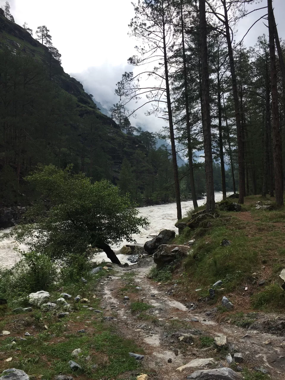Photo of Himachal Pradesh by Avantika Kashyap 