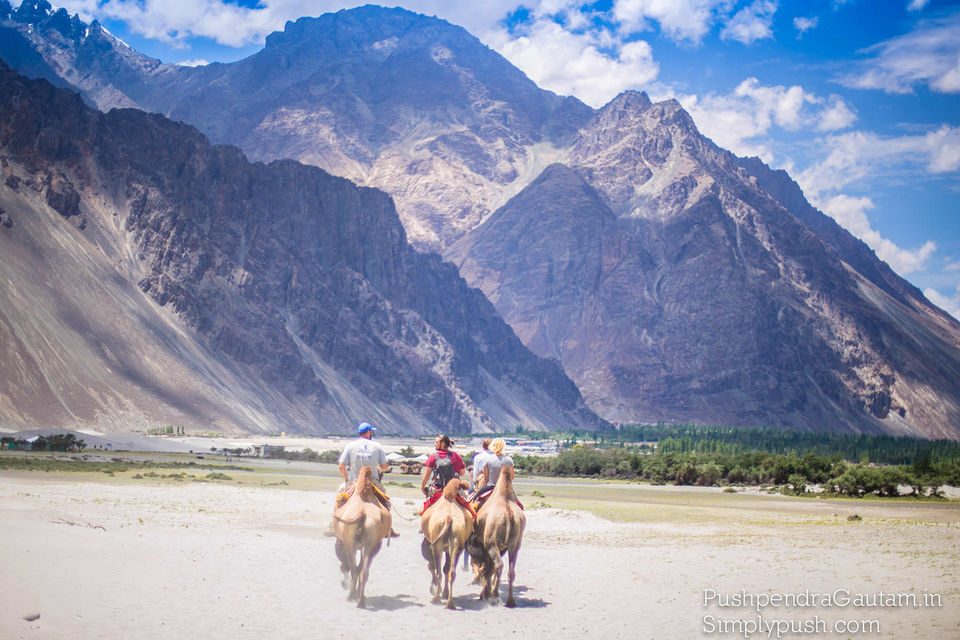 Nubra Valley Ladakh road trip - Tripoto